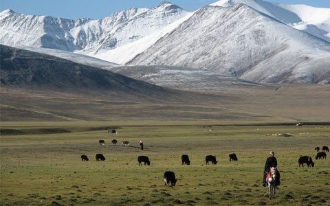 Environment of Tibet
