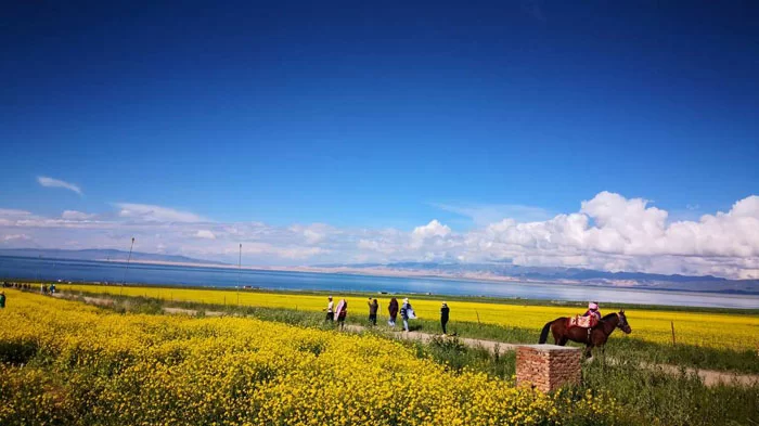 Qinghai Lake view