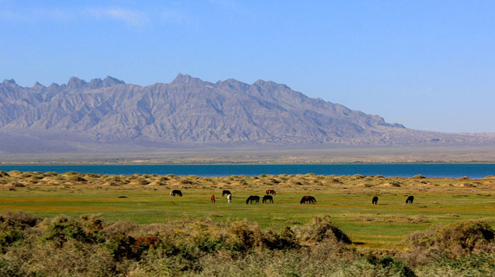 Qinghai-Tibet railway view