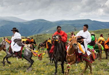 Tibet horse festival