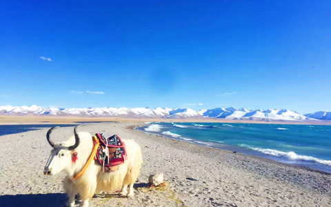 Nagqu Lake and River: top five lakes and rivers in northern Tibet
