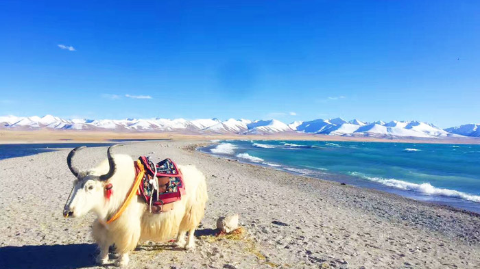 Namtso Lake, the largest lake in Tibet
