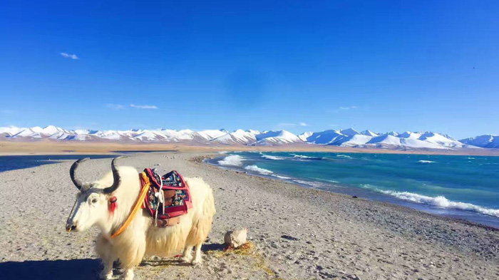 Namtso Lake
