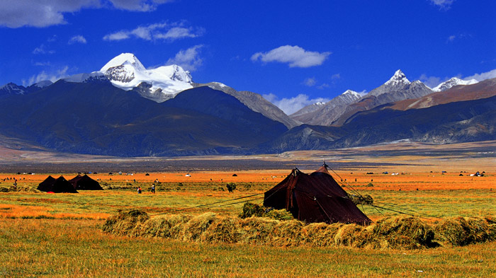 Northern Tibetan Grassland