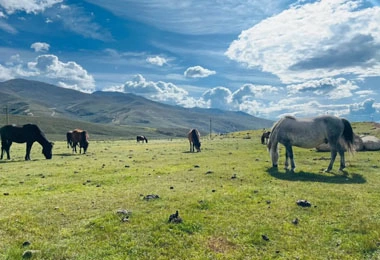 The vast of Batang Maoya Prairie