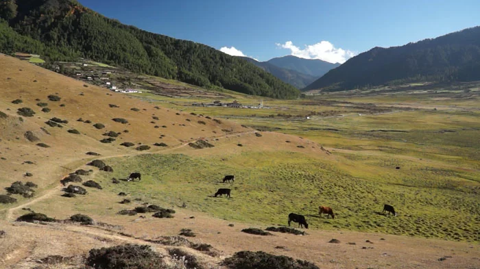 Bhutan Tourism: 10 Things You Need to Know about Bhutan Tourism in 2024 ...