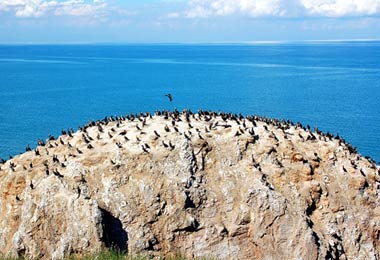 Bird Island in Qinghai Lake