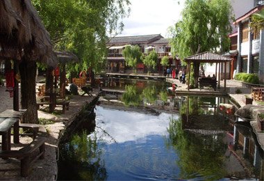 charming and peaceful ancient town with vibrant willow and small canals 
