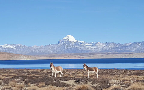 Lake Manasarovar Photos: Ultimate Shooting Guide for Manasarovar Kora in 2026