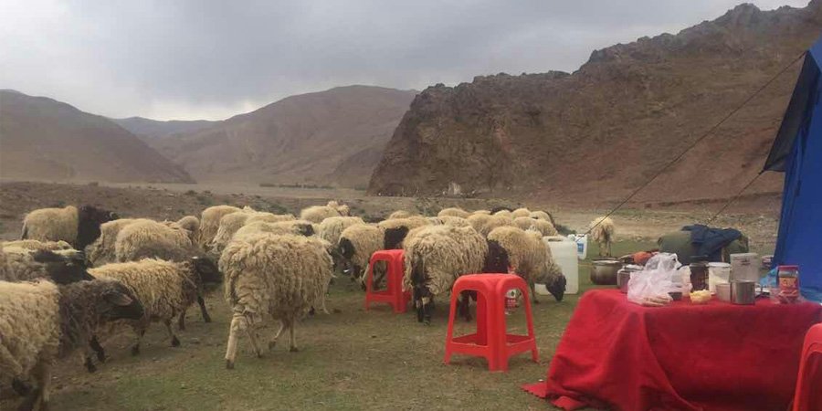 Camping in Tibet