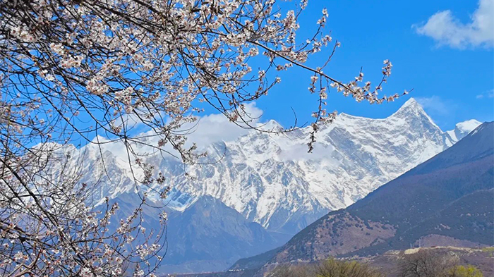 A clear view of Mount Namcha Barwa