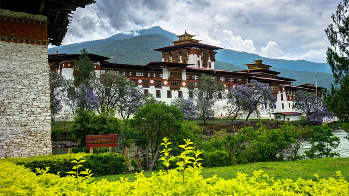 Punakha Dzong in March