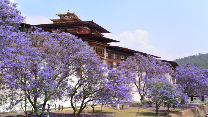 Visit Bhutan in Spring