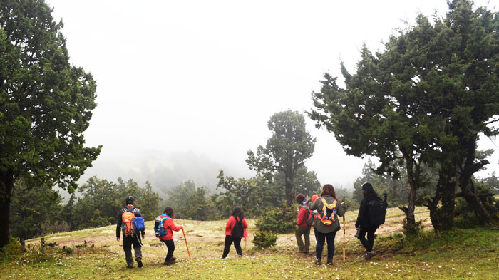 A Small Bhutan Trekking Group