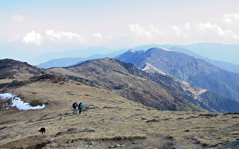 3 Days Chele La Trek in Bhutan