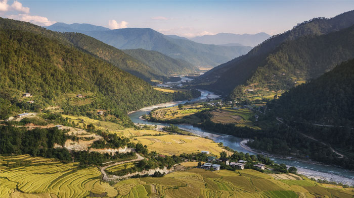 Bhutan valley with yellow terraced fields