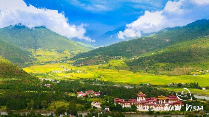 The vibrant terraced rice fields and forests in Bhutan&rsquo;s valleys