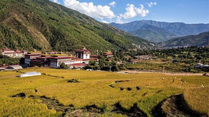  Thimphu in Summer 