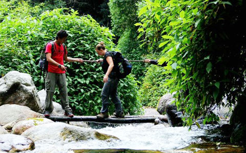Ultimate Guide on How to Take Dagala Thousand Lakes Trek in Bhutan