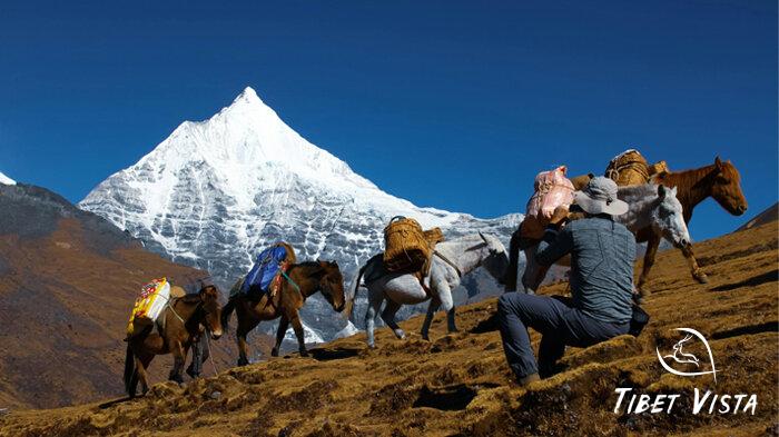 Experience Bhutan&rsquo;s most popular Jomolhari Trek in October