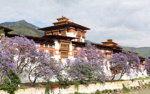 12 Days Scenic and Cultural Discovery of Tibet and Bhutan
