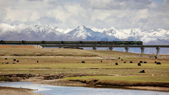 Scenery along Qinghai Tibet Railway