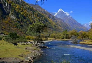 Shuangqiao Valley of Mount Siguniang