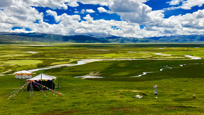 Prairies are green and verdant in summer Tibet