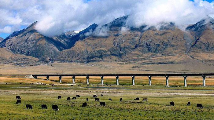 Qinghai Tibet Railway