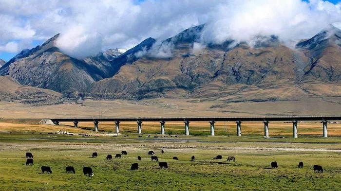 Experience Qinghai-Tibet Railway from Xining