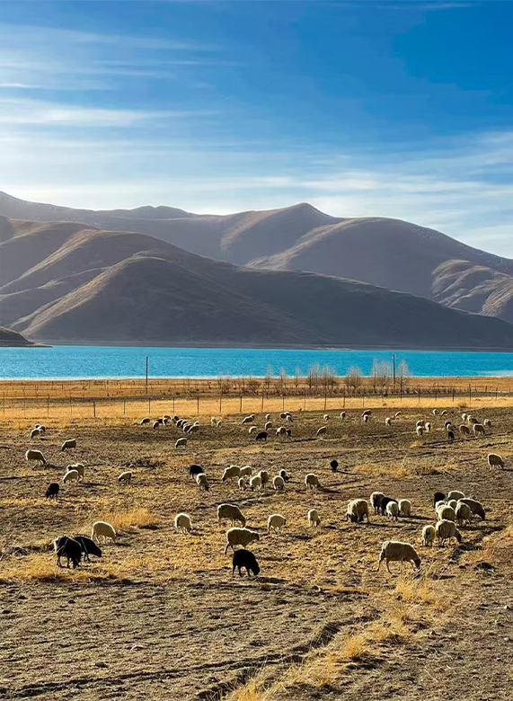 Lhasa to Yamdrok Lake tour