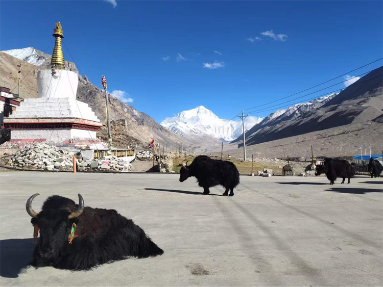 Visit Everest Base Camp