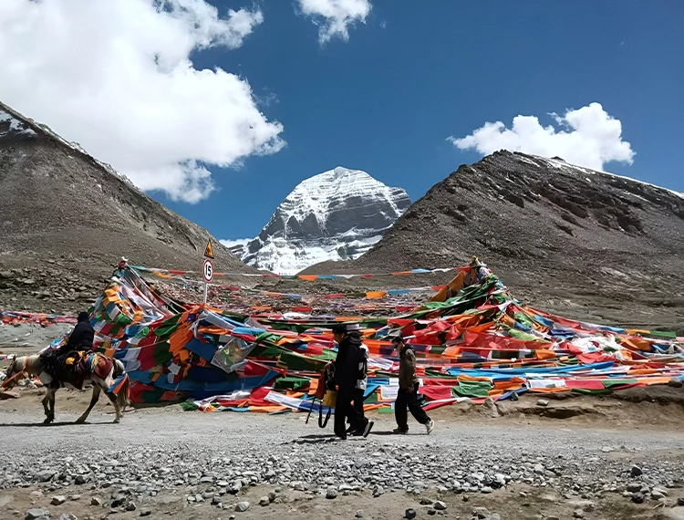 kailash kora tour