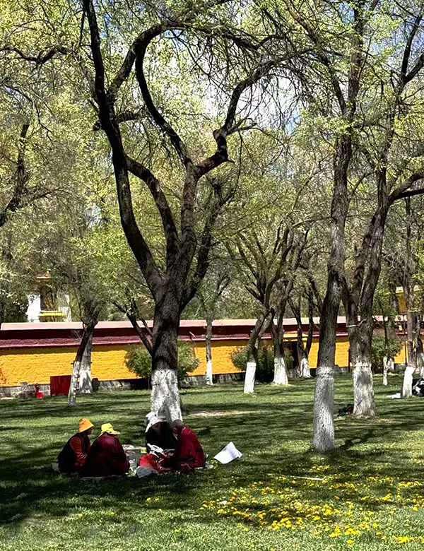Enjoy the bright sunshine at Norbulingka in Lhasa