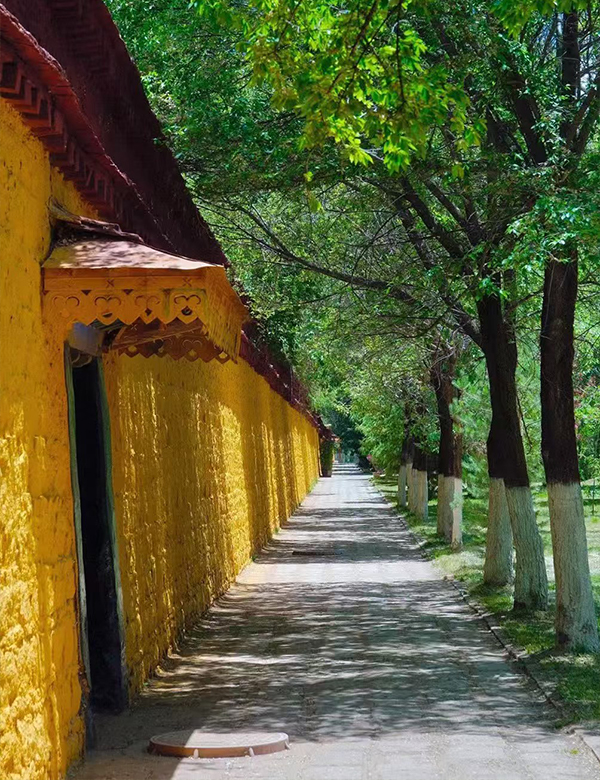 Enjoy the bright sunshine at Norbulingka in Lhasa