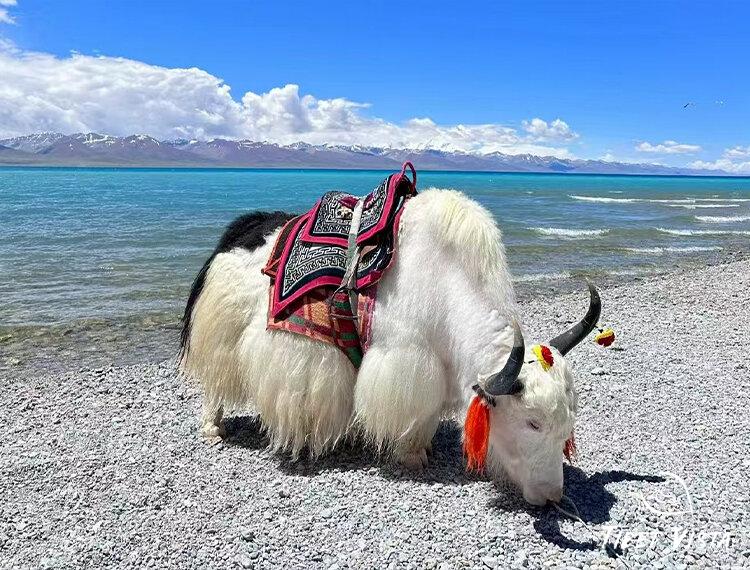 Namtso Lake