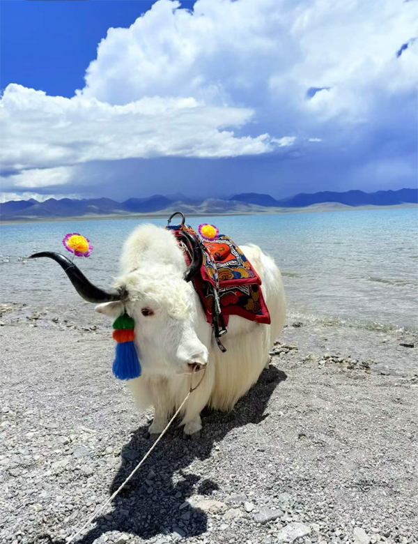 Namtso Lake