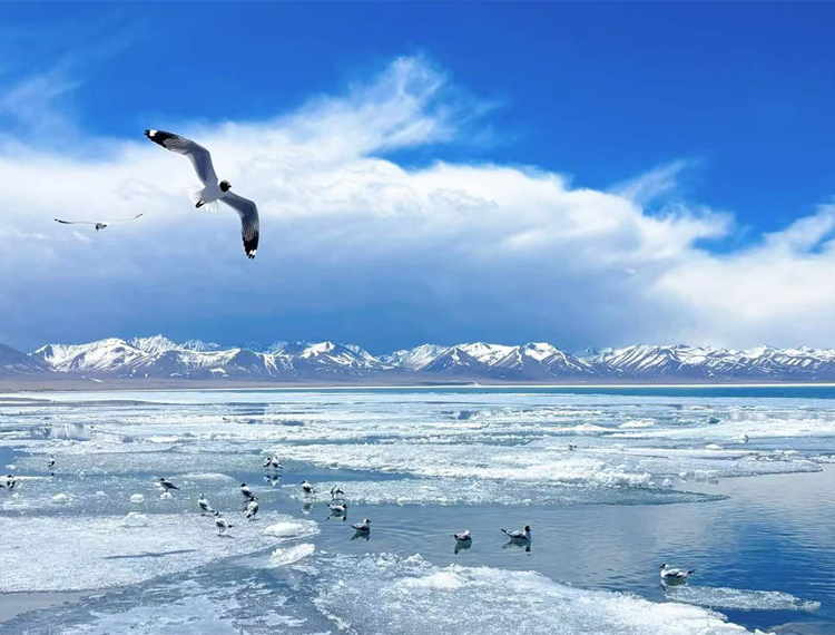 holy lake Namtso