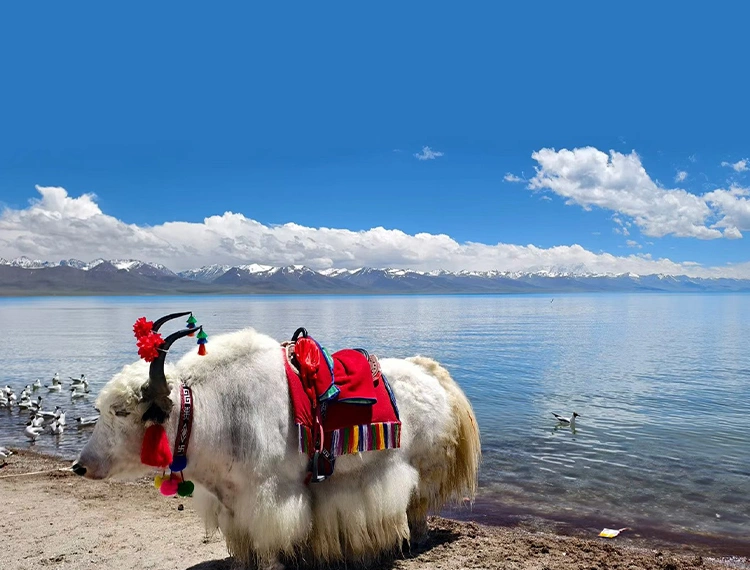 Namtso Lake