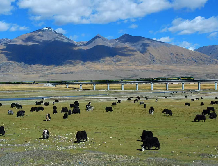 Take the train to Tibet