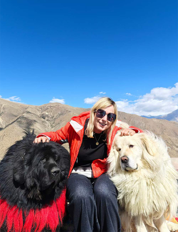 Tibetan Mastiffs