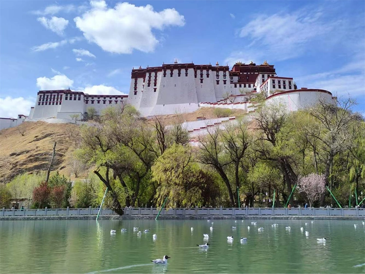 visit the magnificent Potala Palace
