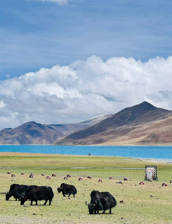 The stunning turquoise waters of Yamdrok Lake