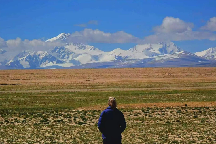 wide-open grasslands