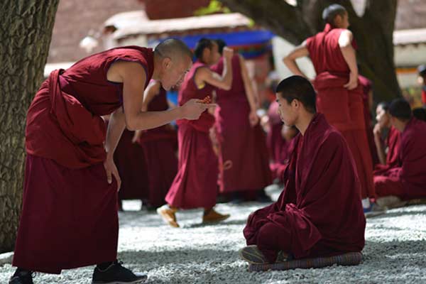 Monks Debating in Sera Monastery
