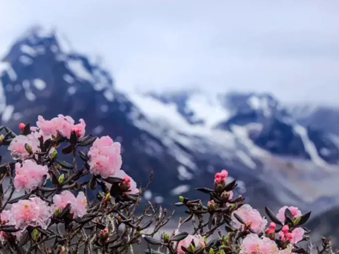 Natural Beauty of Eastern Slope of Mount Everest