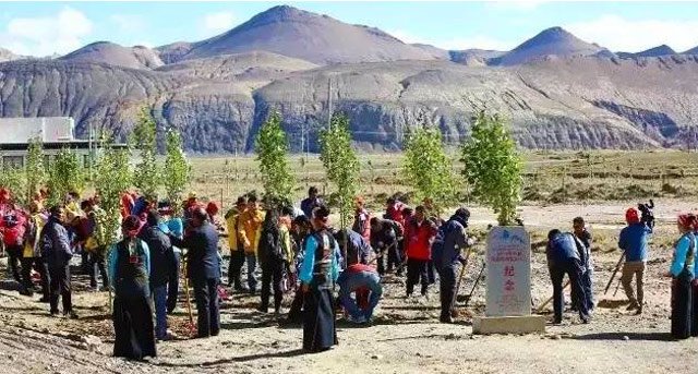 plant trees at everest national nature reserve 