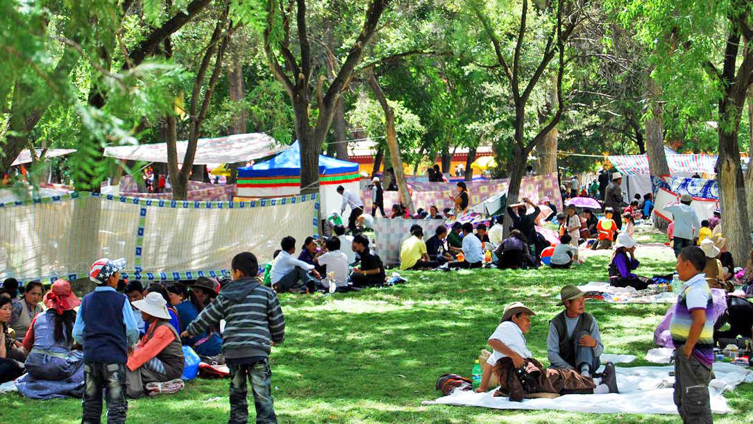 7-Day Lhasa & Tsedang Shoton Festival Tour