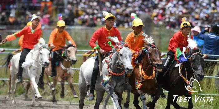 7 Days Gyantse Damar Festival Tour