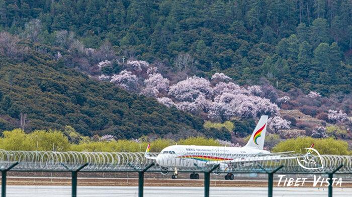 Fast Fly to Tibet